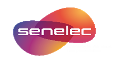 SEN Logo